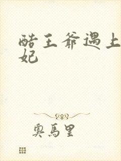 酷王爷遇上穿越妃