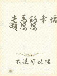 老马的幸福生活赵思思