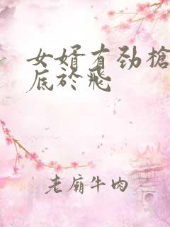 女婿有劲枪枪到底于飞