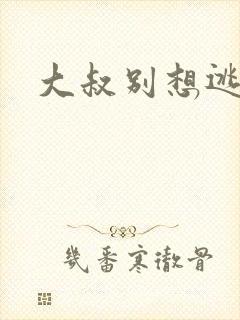 大叔别想逃