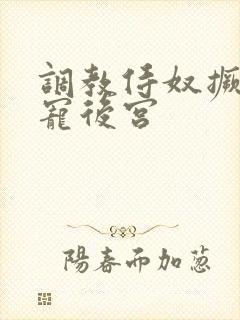 调教侍奴撅臀男宠后宫