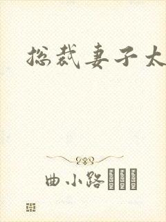 总裁妻子太诱人