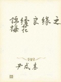 锦绣良缘之驿寄梅花