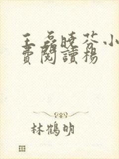 王磊晓芬小说免费阅读杨