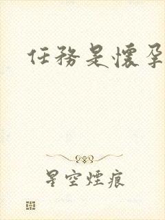 任务是怀孕系统