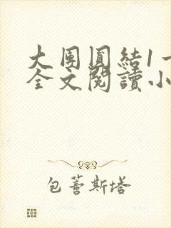 大团圆结1一6全文阅读小说