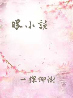 眼小说