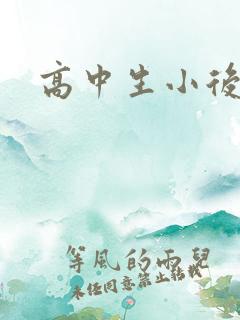 高中生小后妈