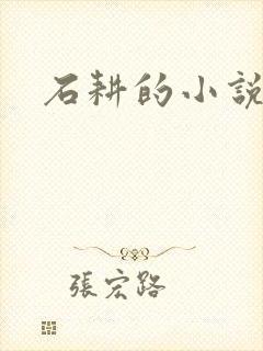 石耕的小说