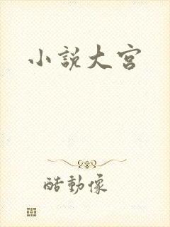 小说大宫