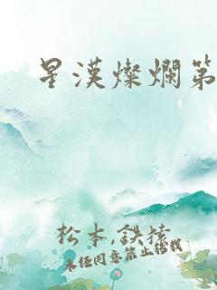 星汉灿烂第二部