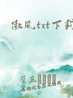 傲风txt下载