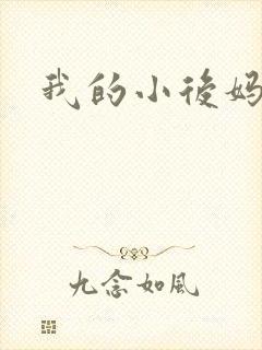 我的小后妈小说