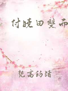 付晓田双面间谍