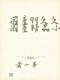 国产99久久久国产精品小说