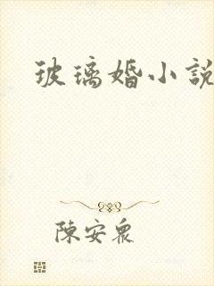 玻璃婚小说