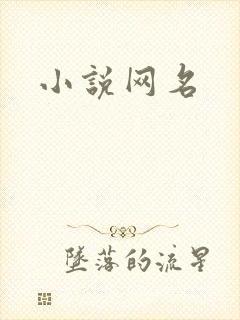 小说网名