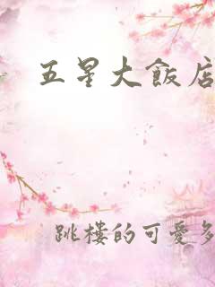 五星大饭店小说