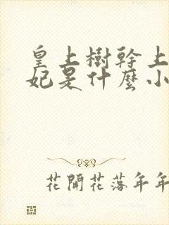 皇上树干上太子妃是什么小说