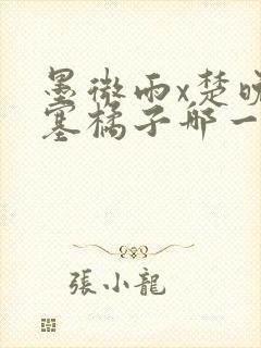 墨微雨x楚晚宁塞橘子哪一章