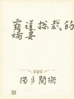 霸道总裁的甜心娇妻