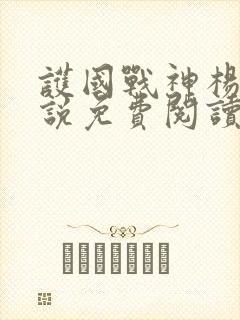 护国战神杨风小说免费阅读