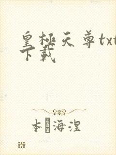 皇极天尊txt下载