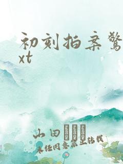 初刻拍案惊奇txt