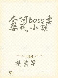 奈何boss要娶我小说