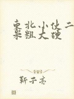 东北小伙二十厘米粗大硬