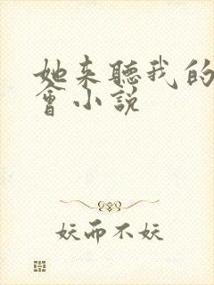 她来听我的演唱会小说