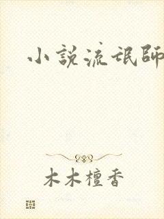小说流氓师表