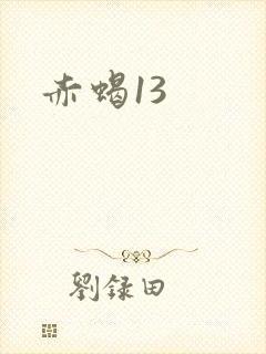 赤蝎13