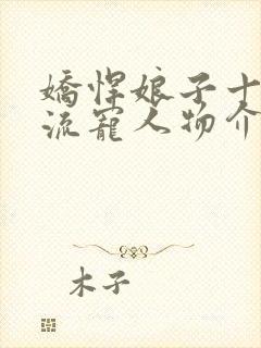 娇悍娘子十夫轮流宠人物介绍