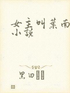 女主叫叶南初的小说