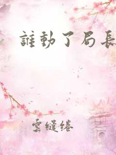 谁动了局长夫人