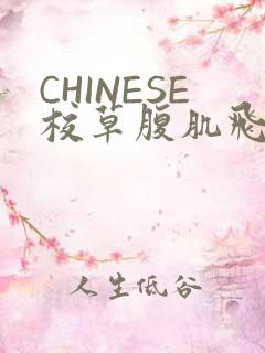 CHINESE校草腹肌飞机视频