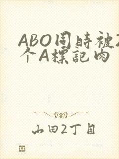 ABO同时被2个A标记肉