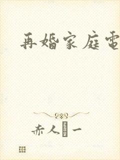 再婚家庭电视剧