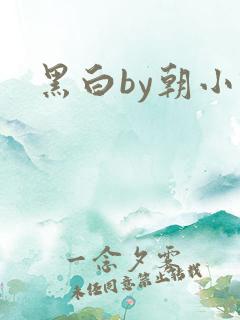 黑白by朝小诚