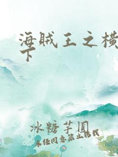 海贼王之横行天下