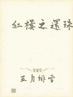 红楼之还珠与溶