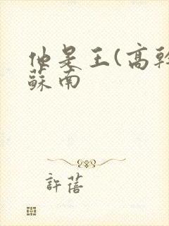 他是王(高干)苏南