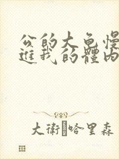 公的大龟慢慢挺进我的体内小说