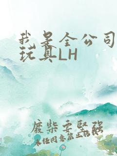 我是全公司发泄玩具LH