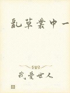 乱草丛中一杆枪