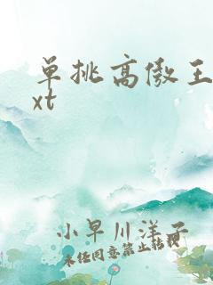 单挑高傲王子txt