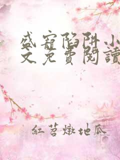 盛宠陷阱小说全文免费阅读