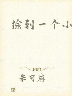 捡到一个小妖精