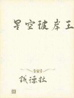 星空彼岸王轩